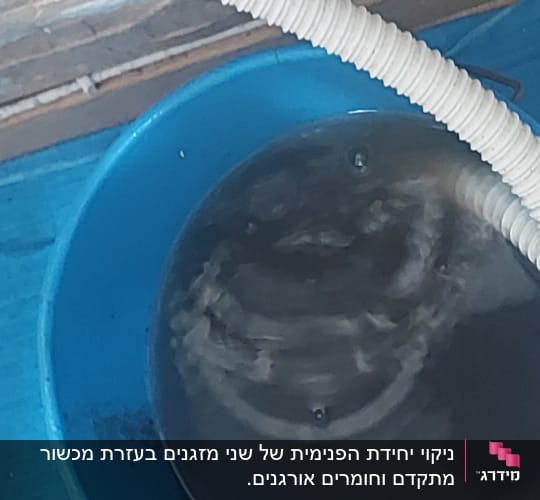 צינור פלסטיק לבן מעל דלי כחול עם מים כהים